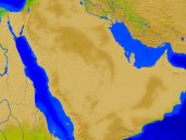 Saudi-Arabien Vegetation 1600x1200